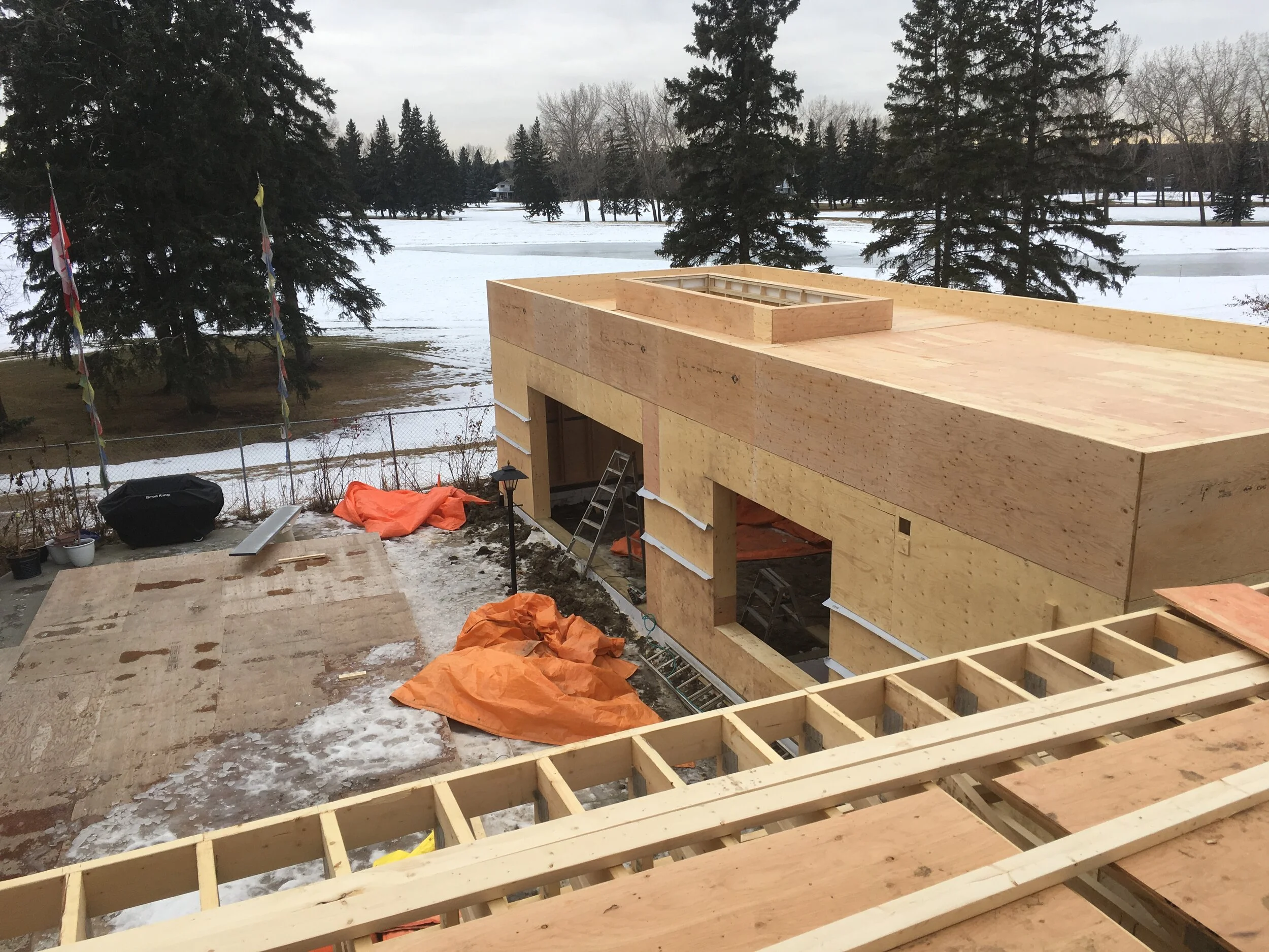 Adam Larson - IMG_7165.JPG