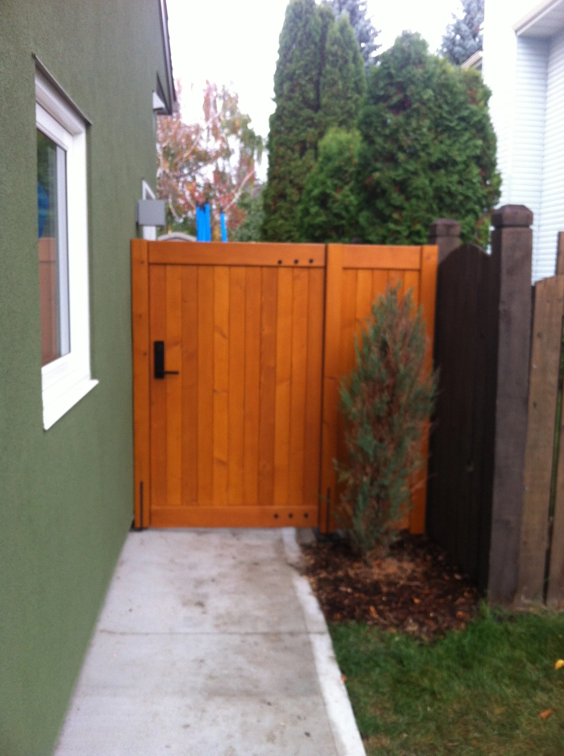 Adam Larson - IMG_5392.JPG