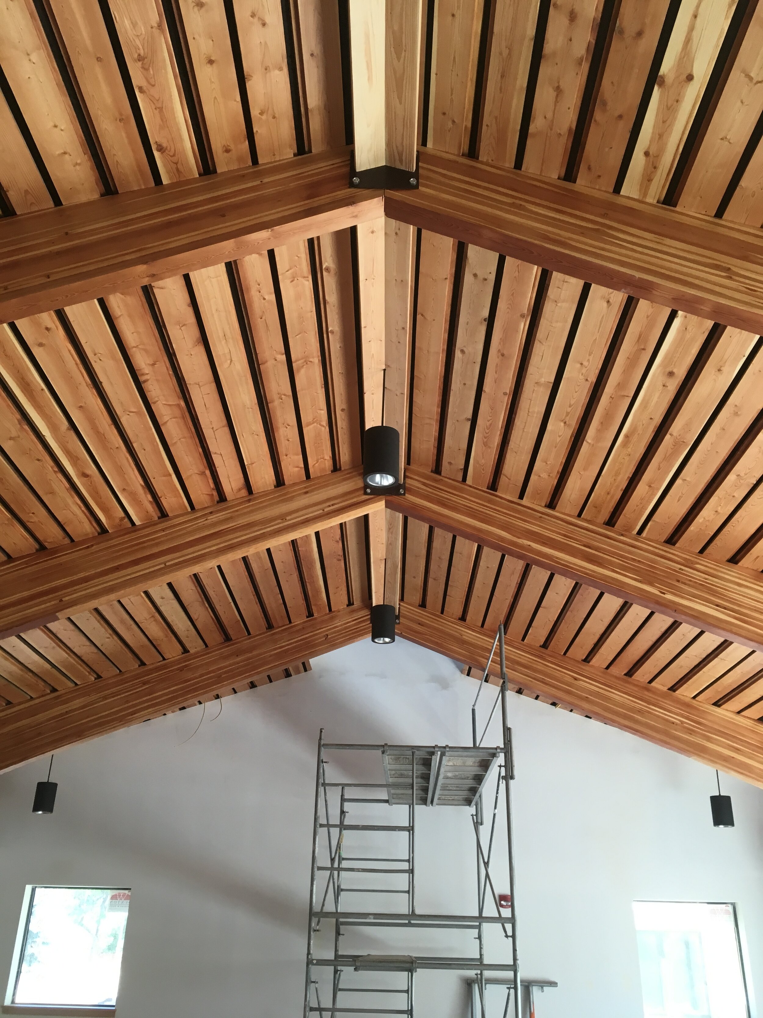 Adam Larson - IMG_6189.JPG