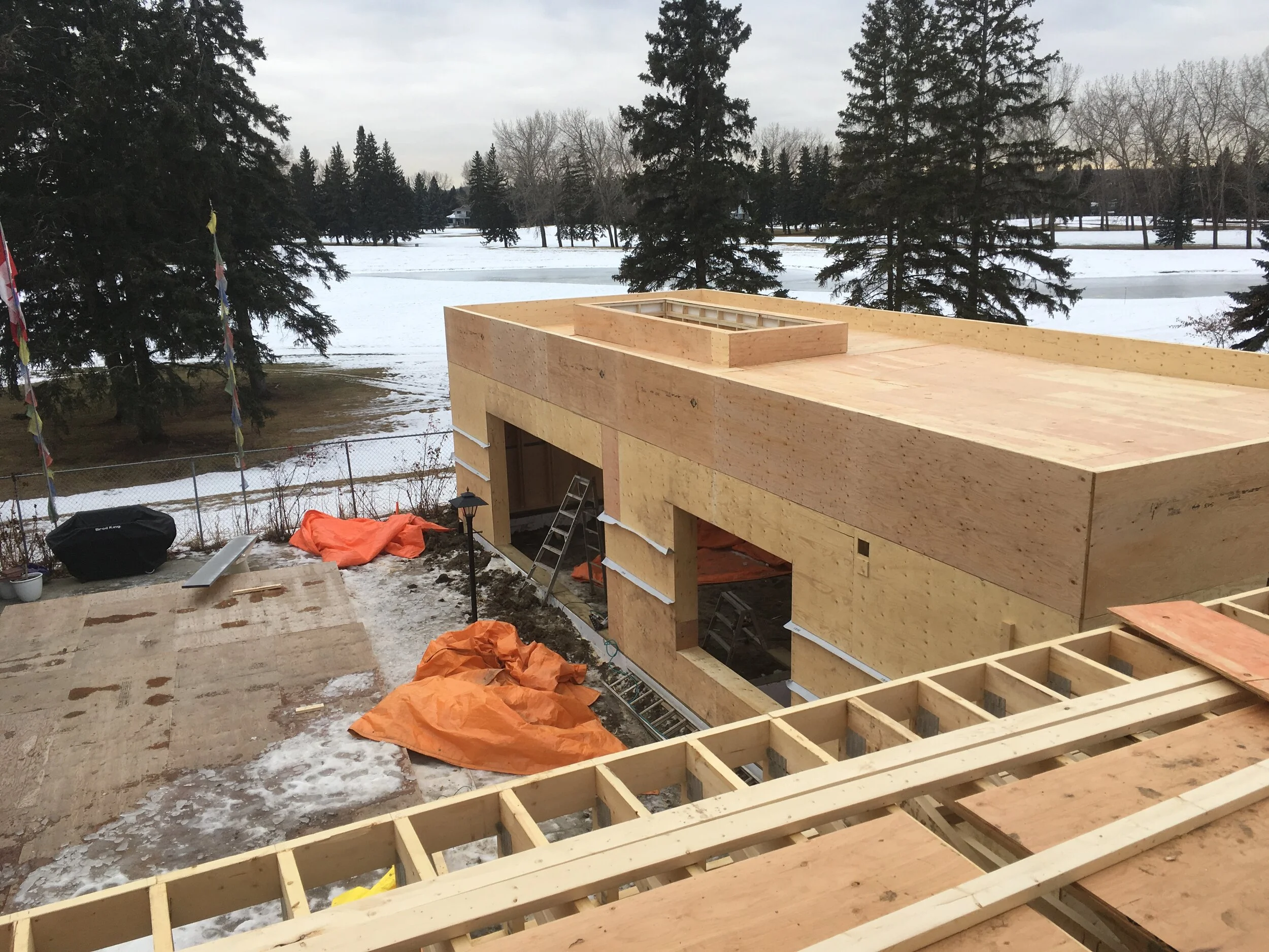 Adam Larson - IMG_7166.JPG