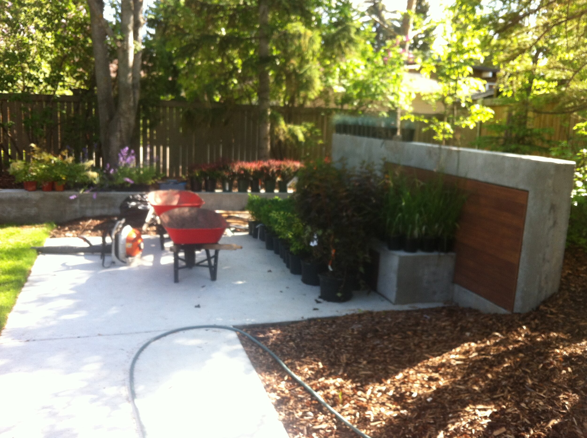 Adam Larson - IMG_3658.JPG