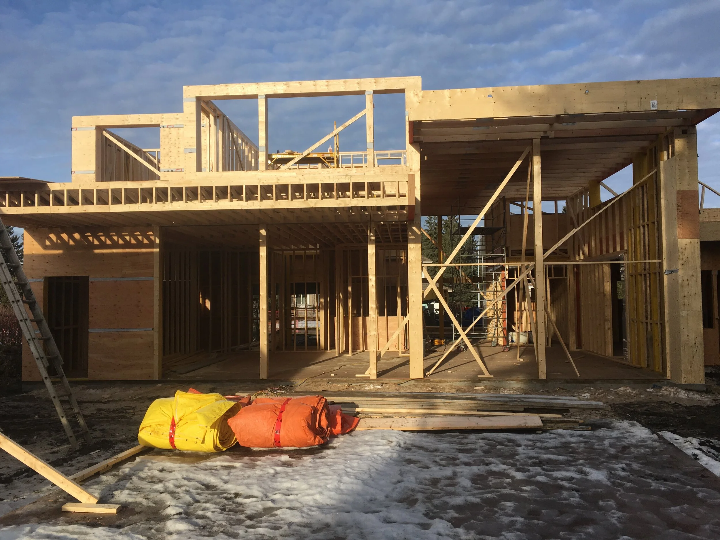 Adam Larson - IMG_7133.JPG