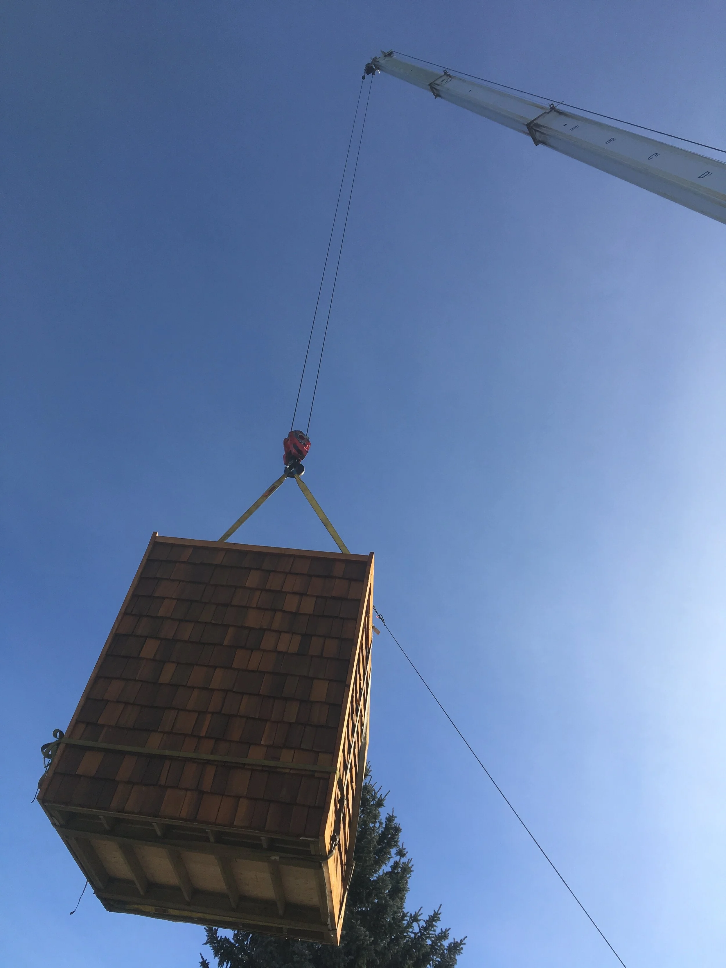 Adam Larson - IMG_6750.JPG