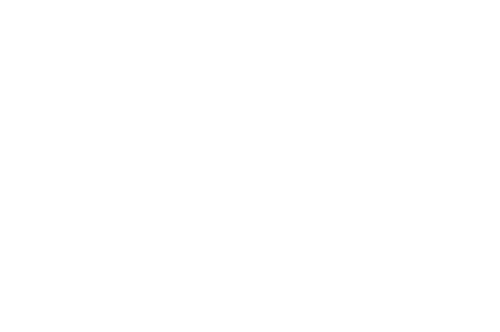 official-selection-flickers-rhode-island-international-film-festival-2024-1.webp