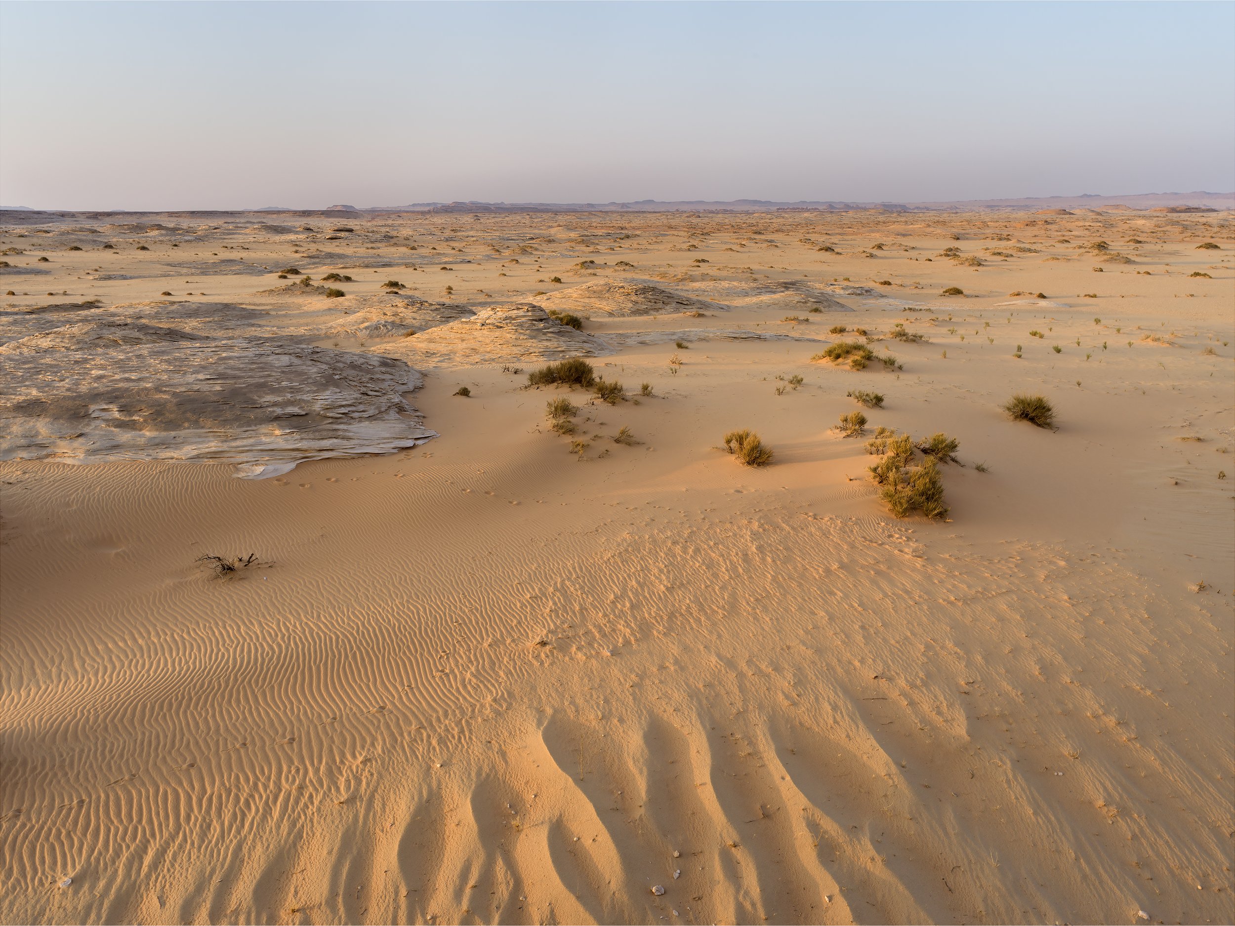 Work In Progress Image