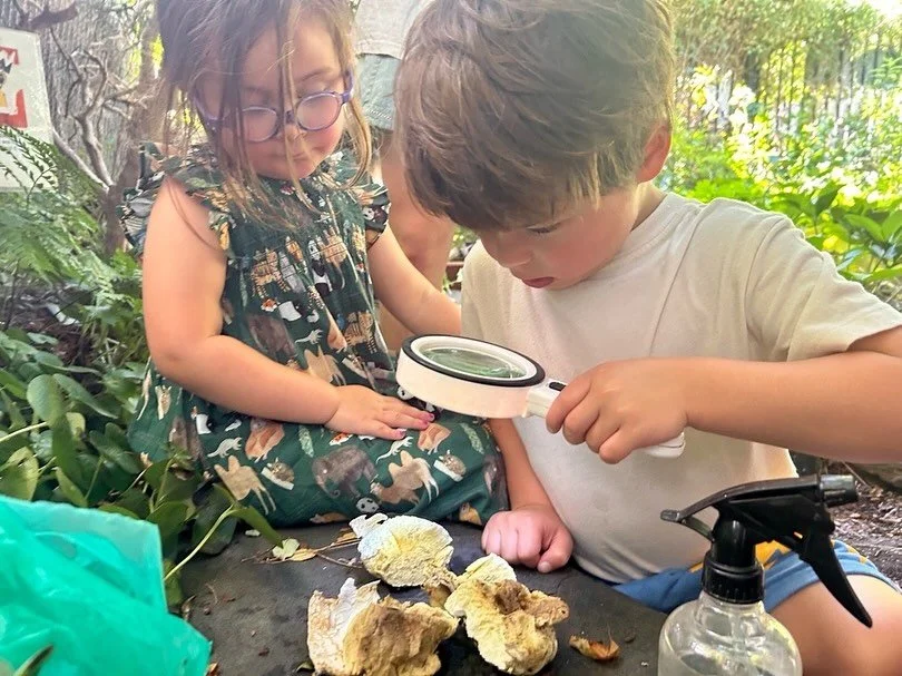 Introducing…. 
Inspired by their very first park adventure of the school year, our 4 & 5 year old kiddos have chosen “The Bouncy Puffballs” for their class name 🍄‍🟫🍄‍🟫🍄‍🟫
As they explored Prospect Park, the