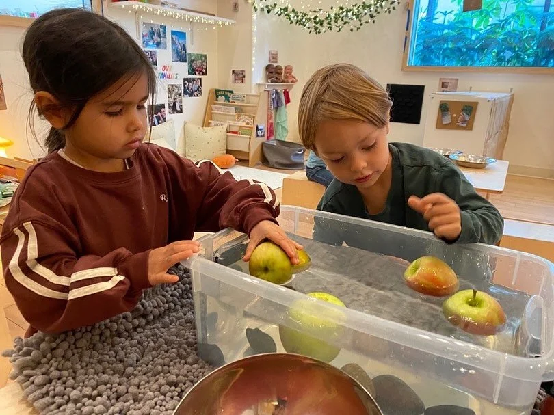 A snapshot of our 3&rsquo;s class &ldquo;the Pigeons🐦&rdquo; and what they&rsquo;ve been up to...

When not outside, the Pigeon kiddos have been in the classroom working hard on a seasonal food study with the current focus being apples.  They starte