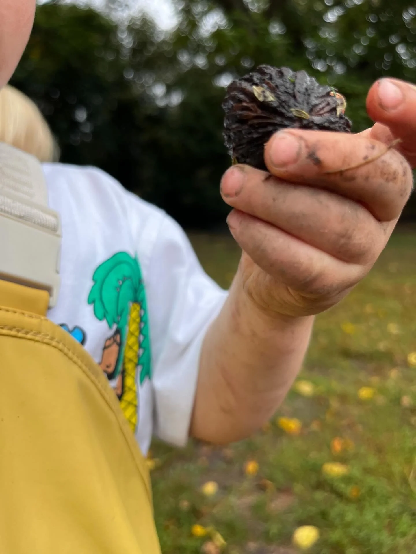 &ldquo;Passion is lifted from the earth itself by the muddy hands of the young; it travels along grass-stained sleeves to the heart. If we are going to save environmentalism and the environment, we must also save an endangered indicator species: the 