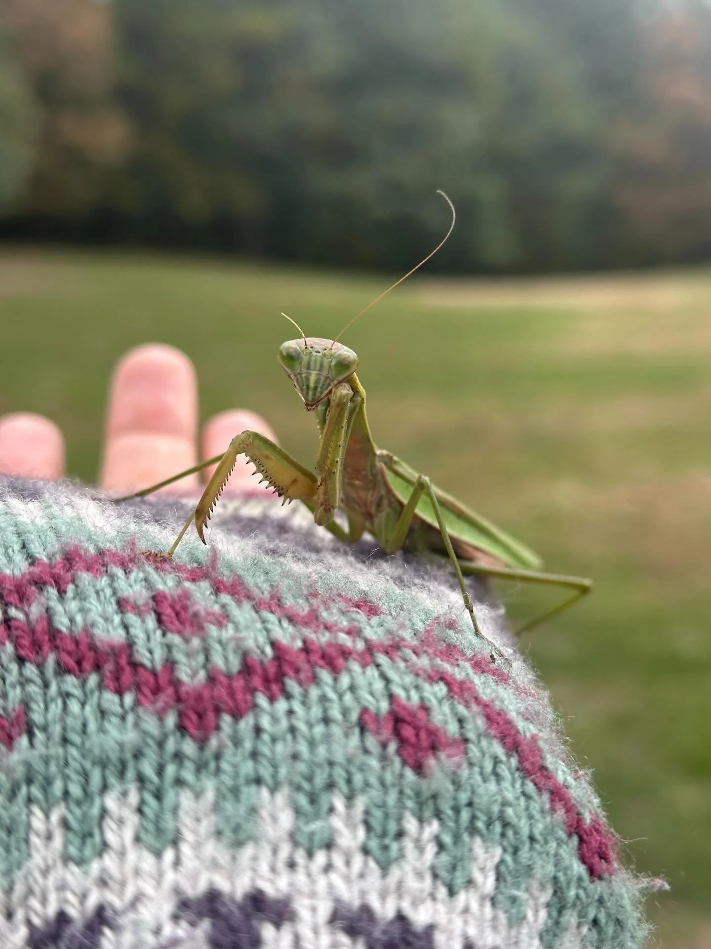 In honor of Earth Day, we wanted to share some of the children&rsquo;s urban wildlife connections made while exploring Prospect Park.