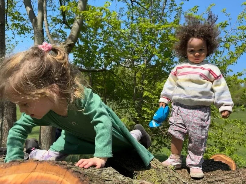 On a recent trip to Prospect Park, the Clovers (2s class) explored a new area featuring a freshly cut, downed tree. The children were immediately drawn to the logs and stumps, spending their time climbing, peeling bark, and collecting treasures like 