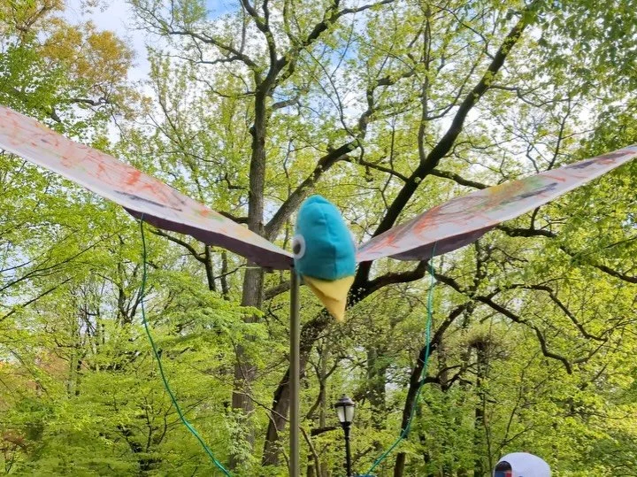 Last week, we welcomed the arrival of Spring&rsquo;s migrating birds at our 5th annual Spring Bird Walk in Prospect. Wondering about &ldquo;what is it like to be a bird?&rdquo; Wonderforest students spent the past few weeks learning all about birds t