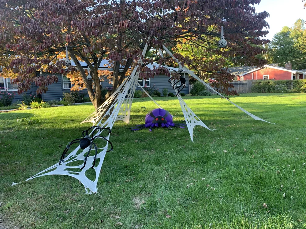 Another angle