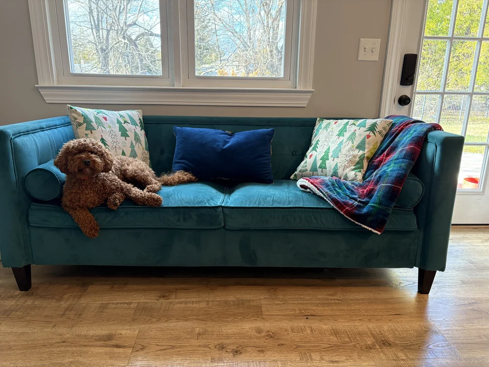 Easy Winter Pillow Covers w/Blanket &amp; Coco