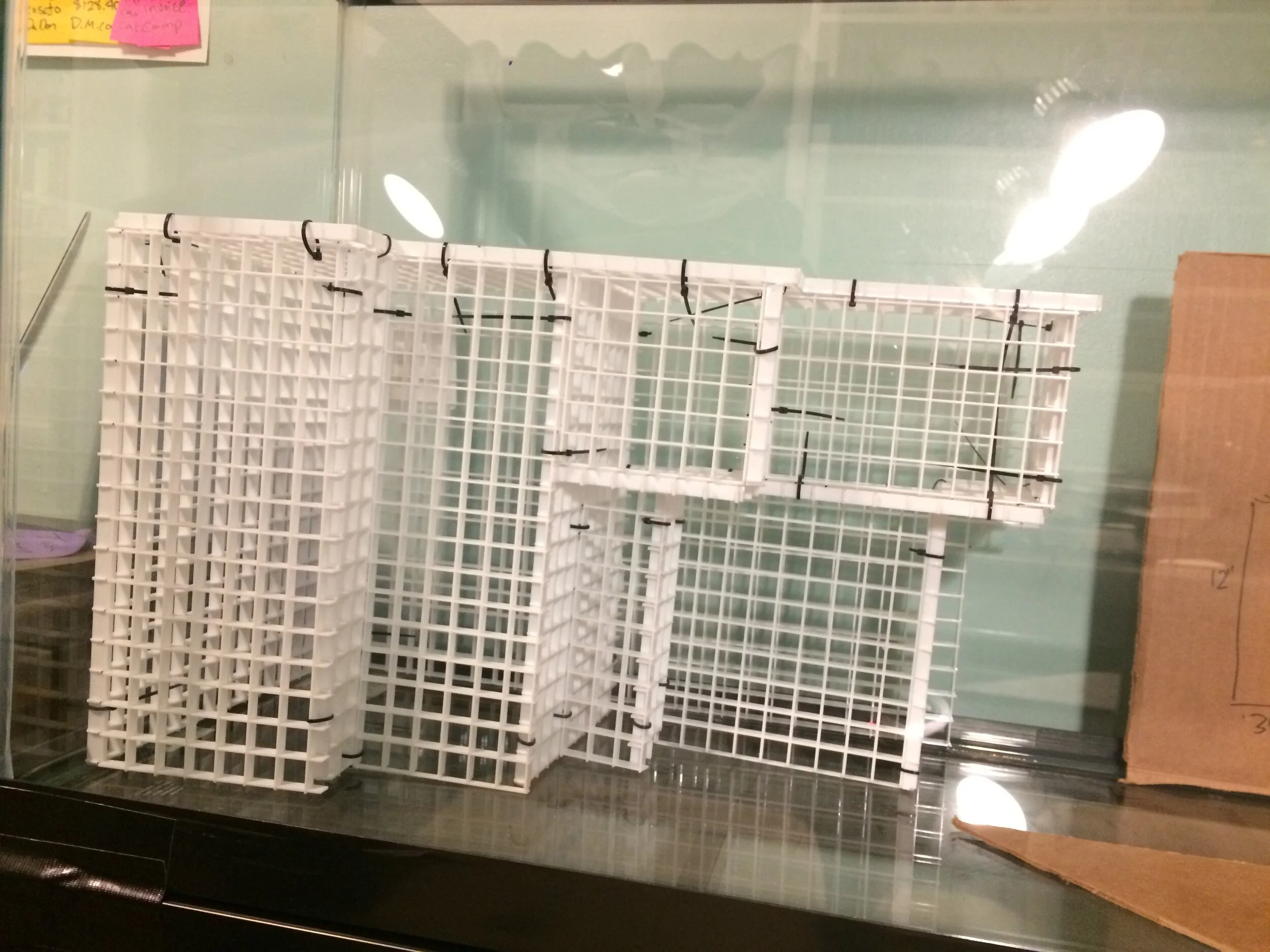 Paludarium Build Proof of Concept — Caitlin McQuinn Portfolio