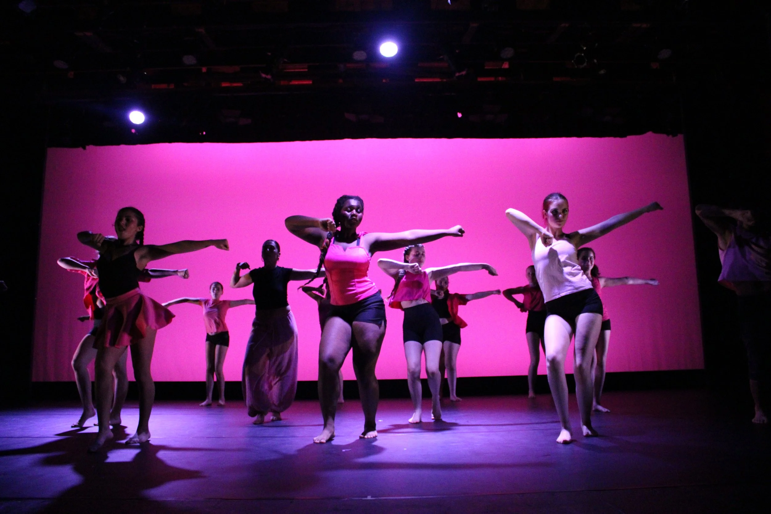 !LSD pink dance.JPG