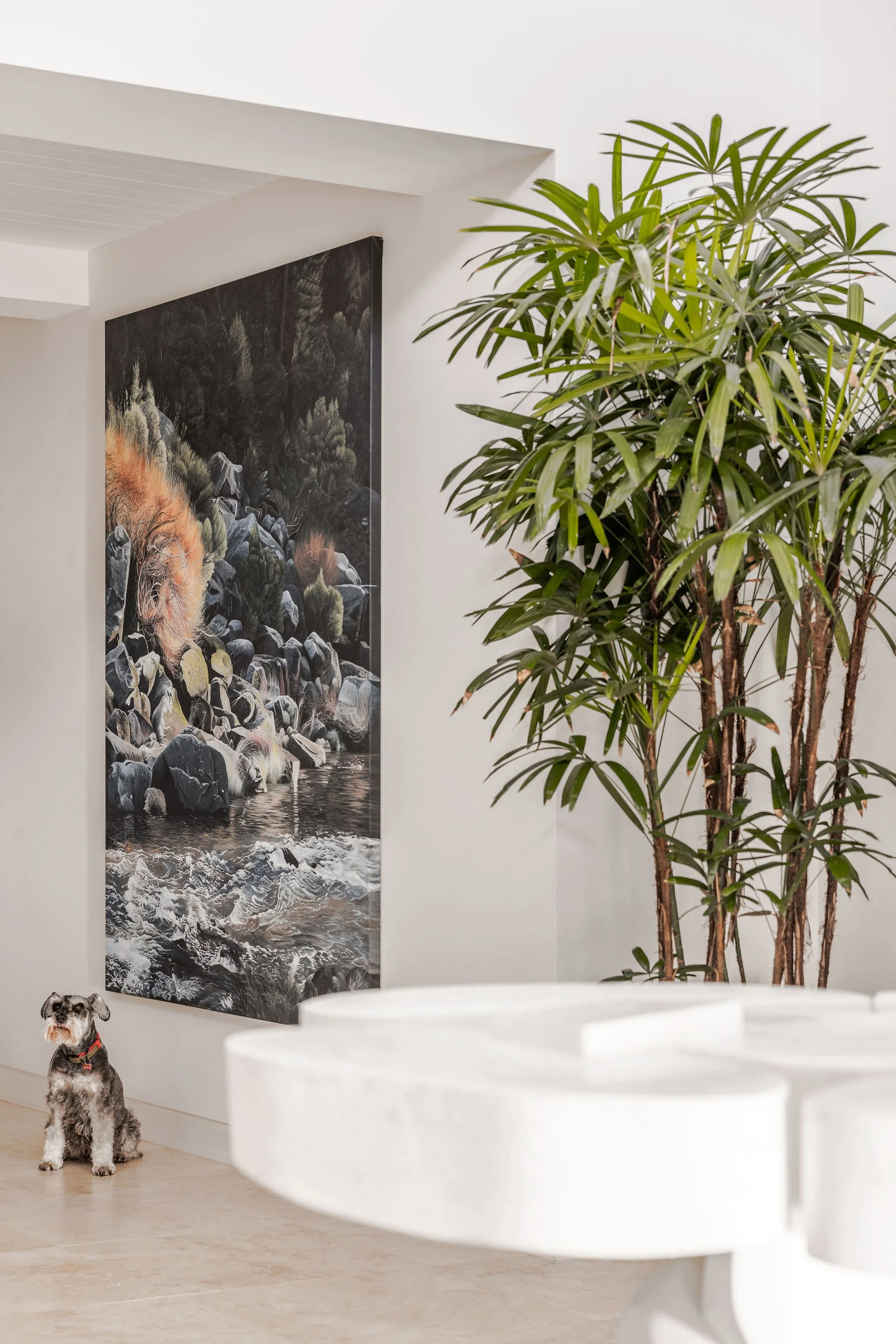 Grand Foyer in Broadbeach Waters. A small dog with black, white, and gray fur sitting on a light-colored floor in a modern, minimalistic room. There is a tall green plant and a large black and white landscape artwork on the white wall behind the dog.