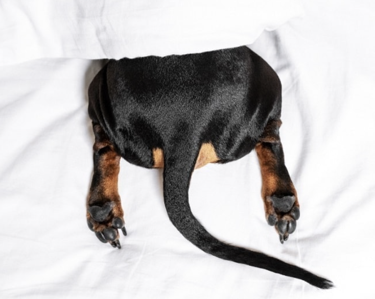 Screenshot 2026-02-13 at 3.39.59 PM.png