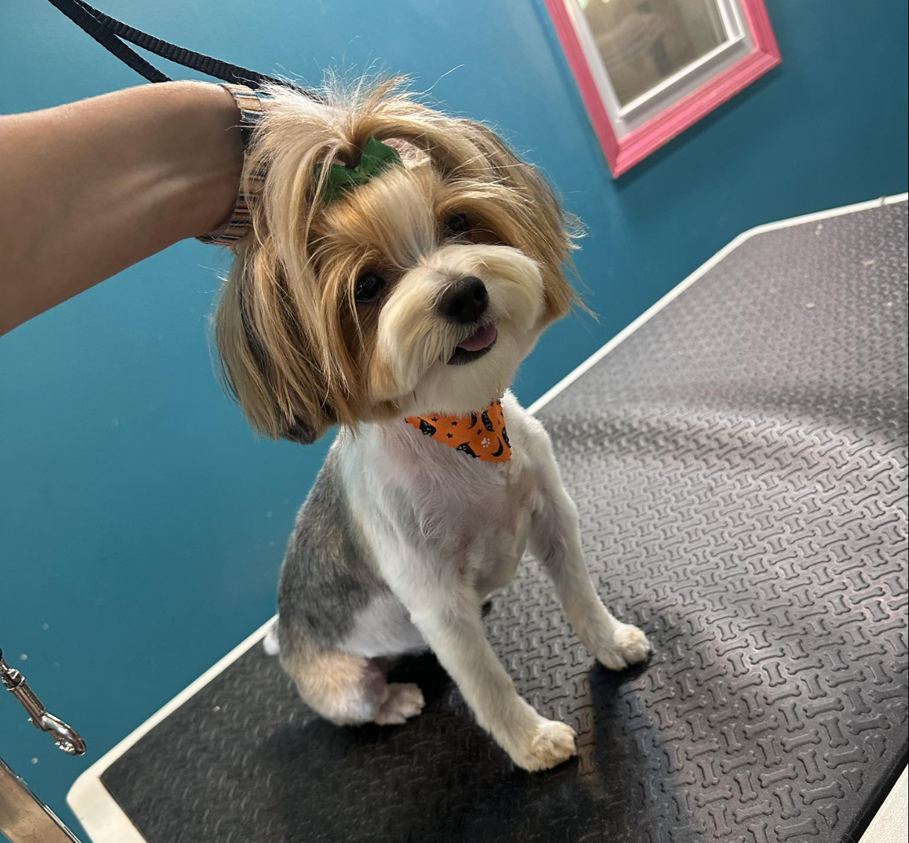 Screenshot 2026-02-21 at 12.37.17 AM.png