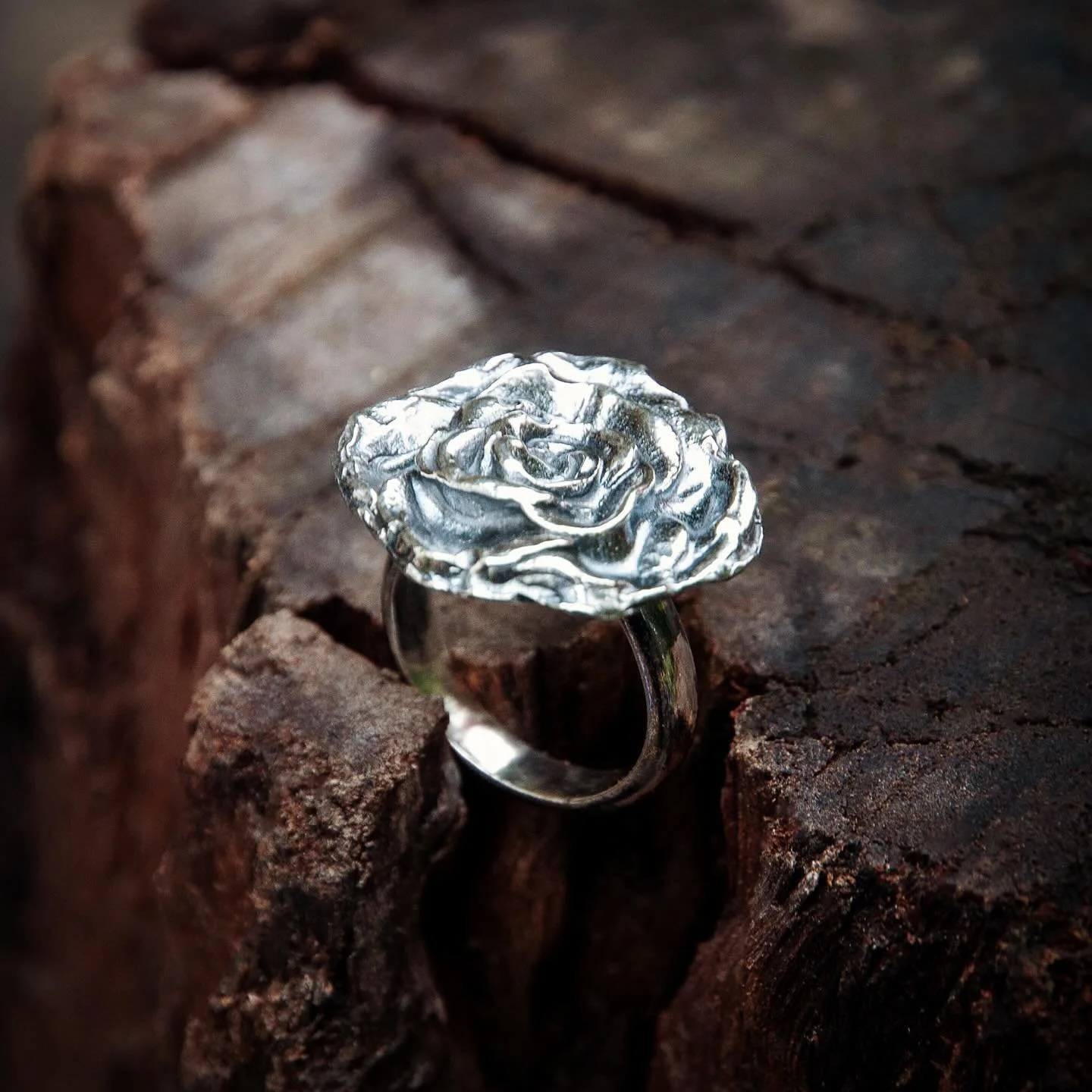 Full Bloom. The second of two rose ring designs I&rsquo;ve made for Mother&rsquo;s Day this Sunday @oldbusdepotmarkets. In memory of my mum, 1943-2019 #silverjewellery #australianartist #naturespeaks #canberraartists #artjewelry