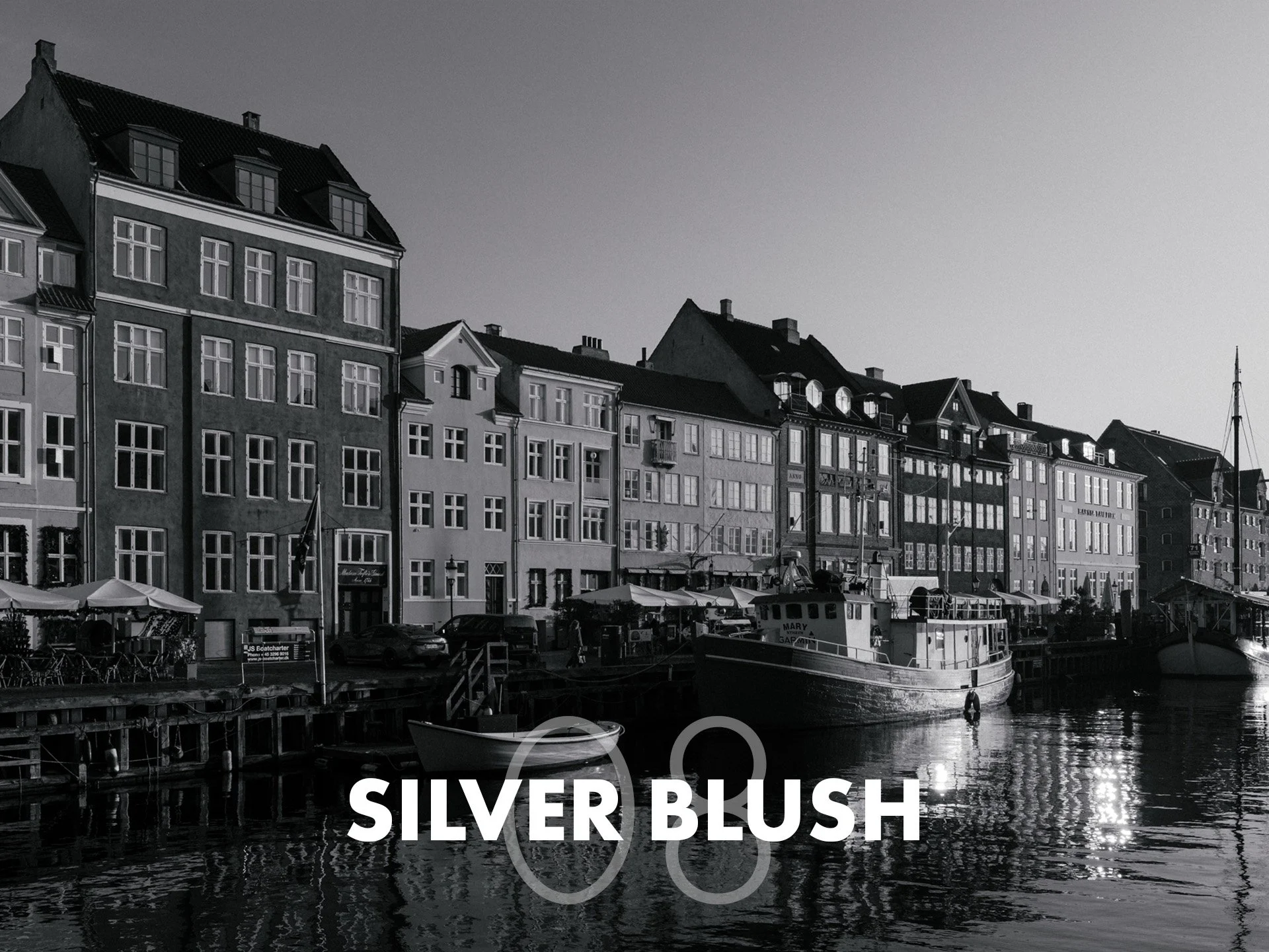 08 SILVER BLUSH.jpg