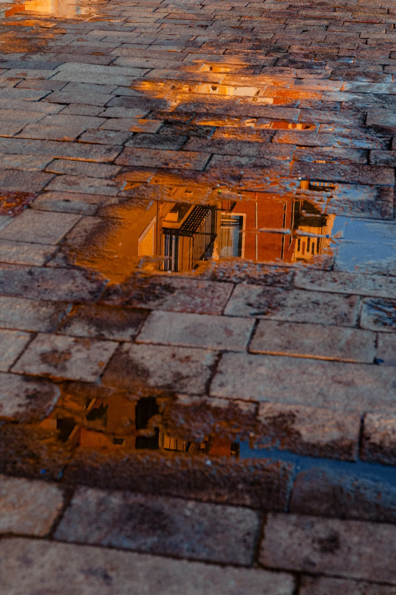 20260215-L1123332_©LeanderHöfler_WEB-Web (Copyright)-2.jpg