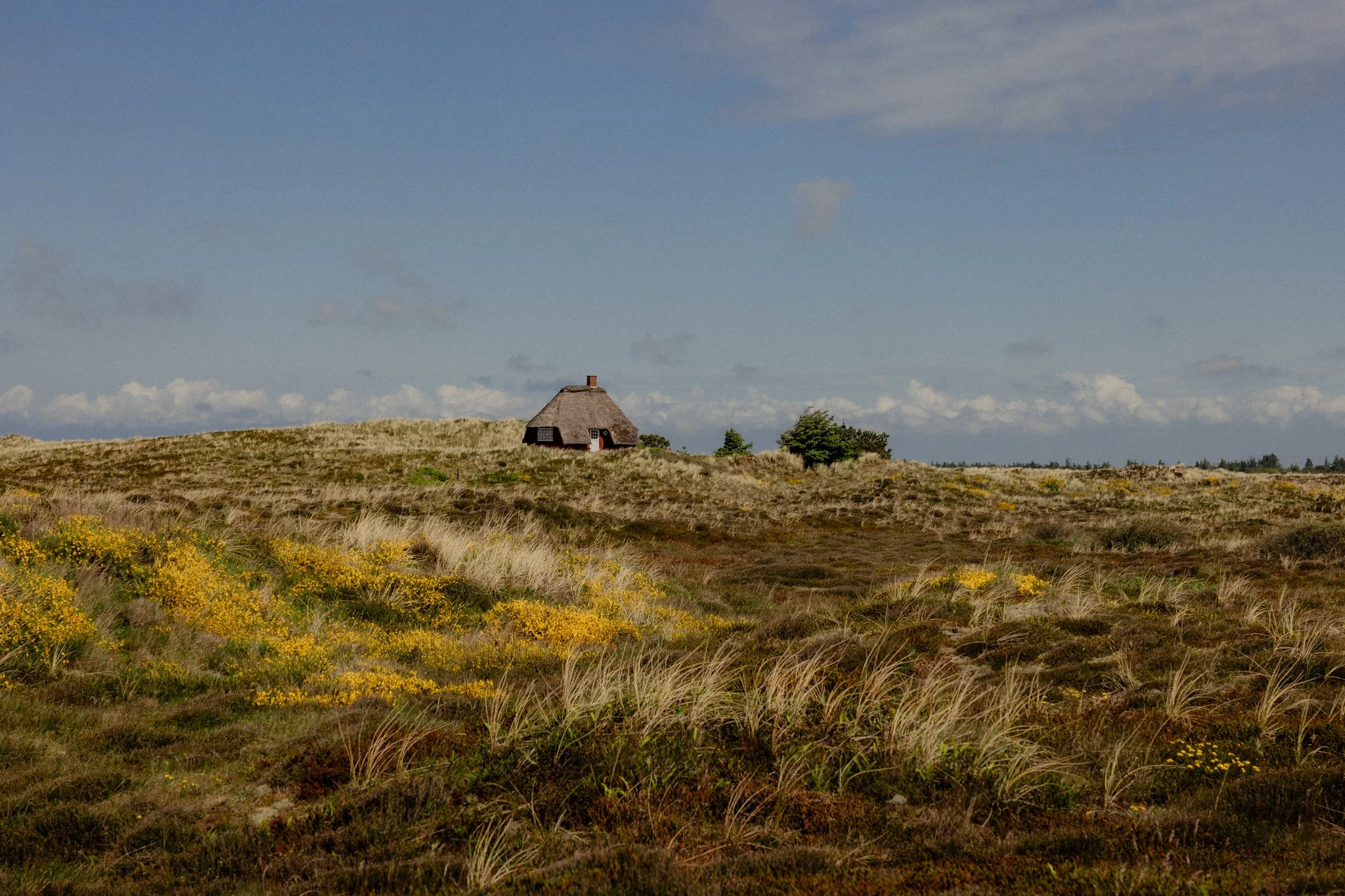 20260601-L1170591_©LeanderHöfler_WEB.jpg