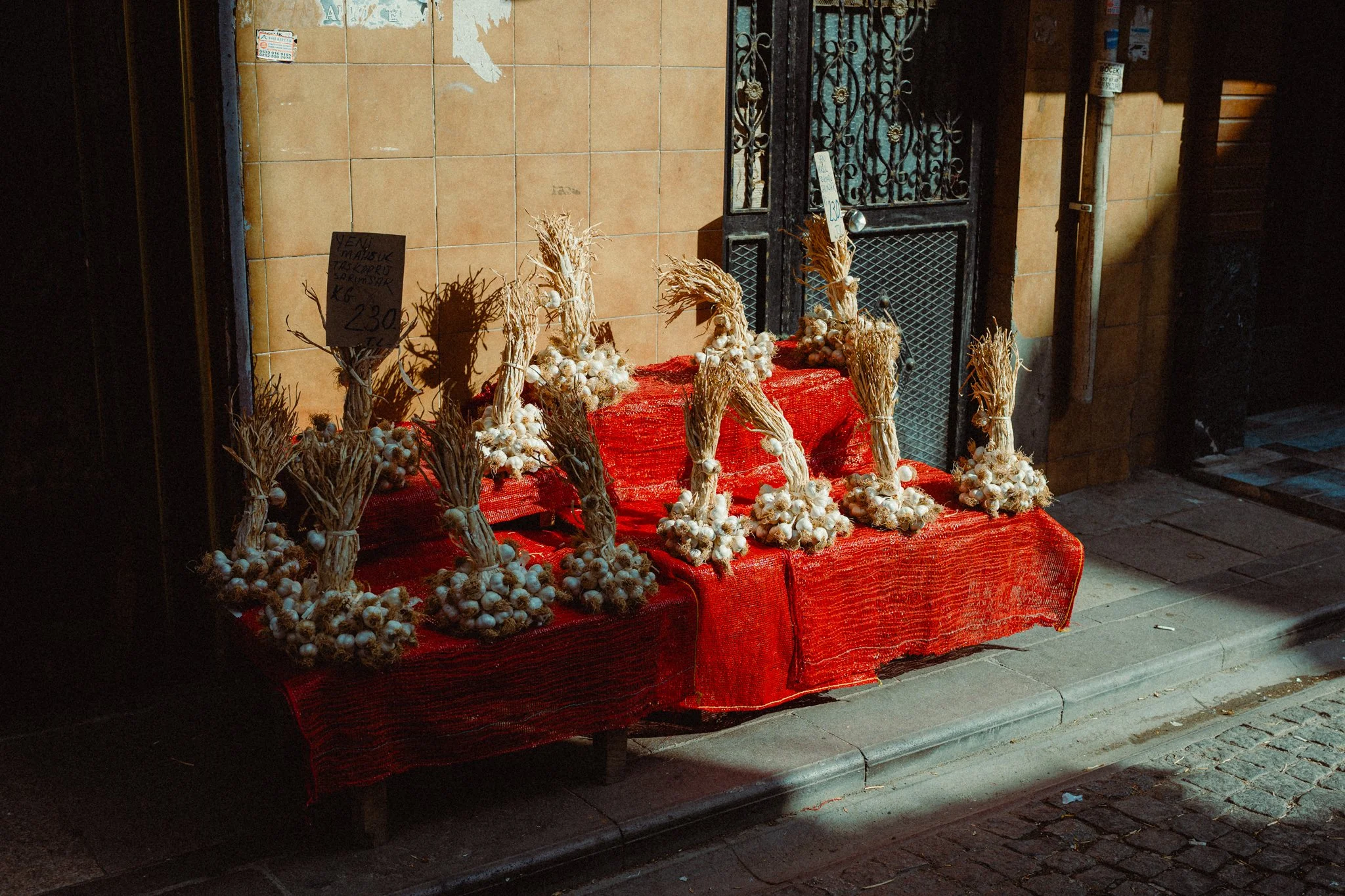 20250829-L1000907_WEB.jpg
