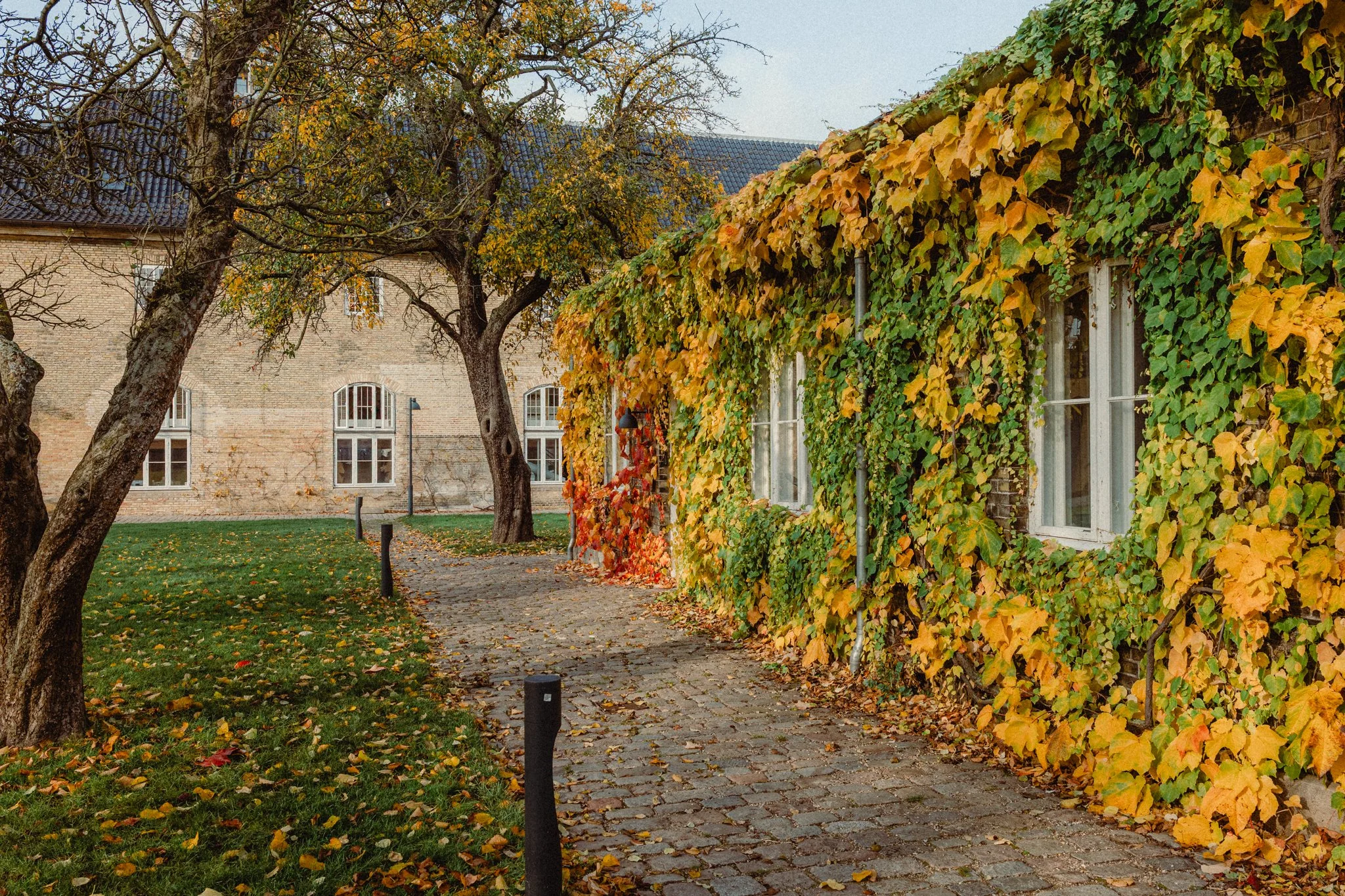 20251107-L1100951_©LeanderHöfler_WEB.jpg