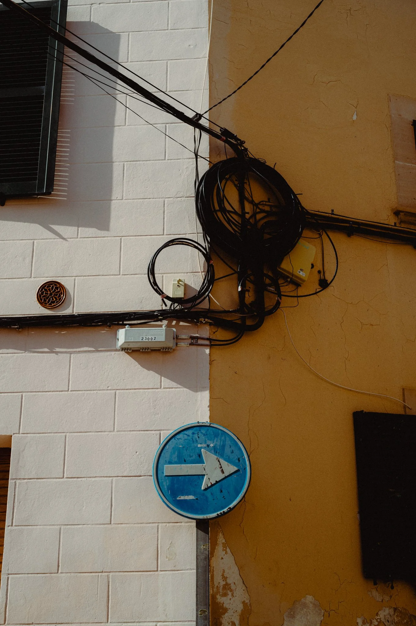 20250212-L1001842_WEB.jpg