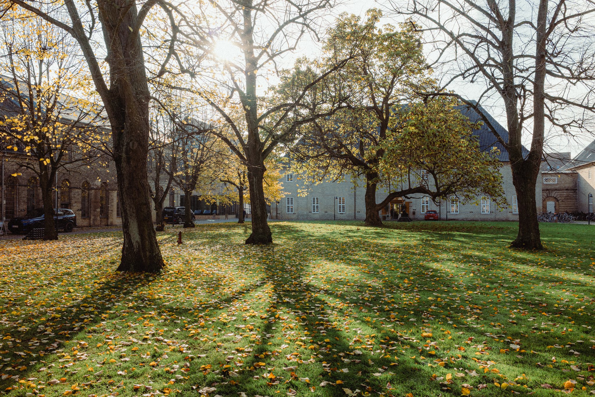 20251107-L1120005_©LeanderHöfler_WEB.jpg