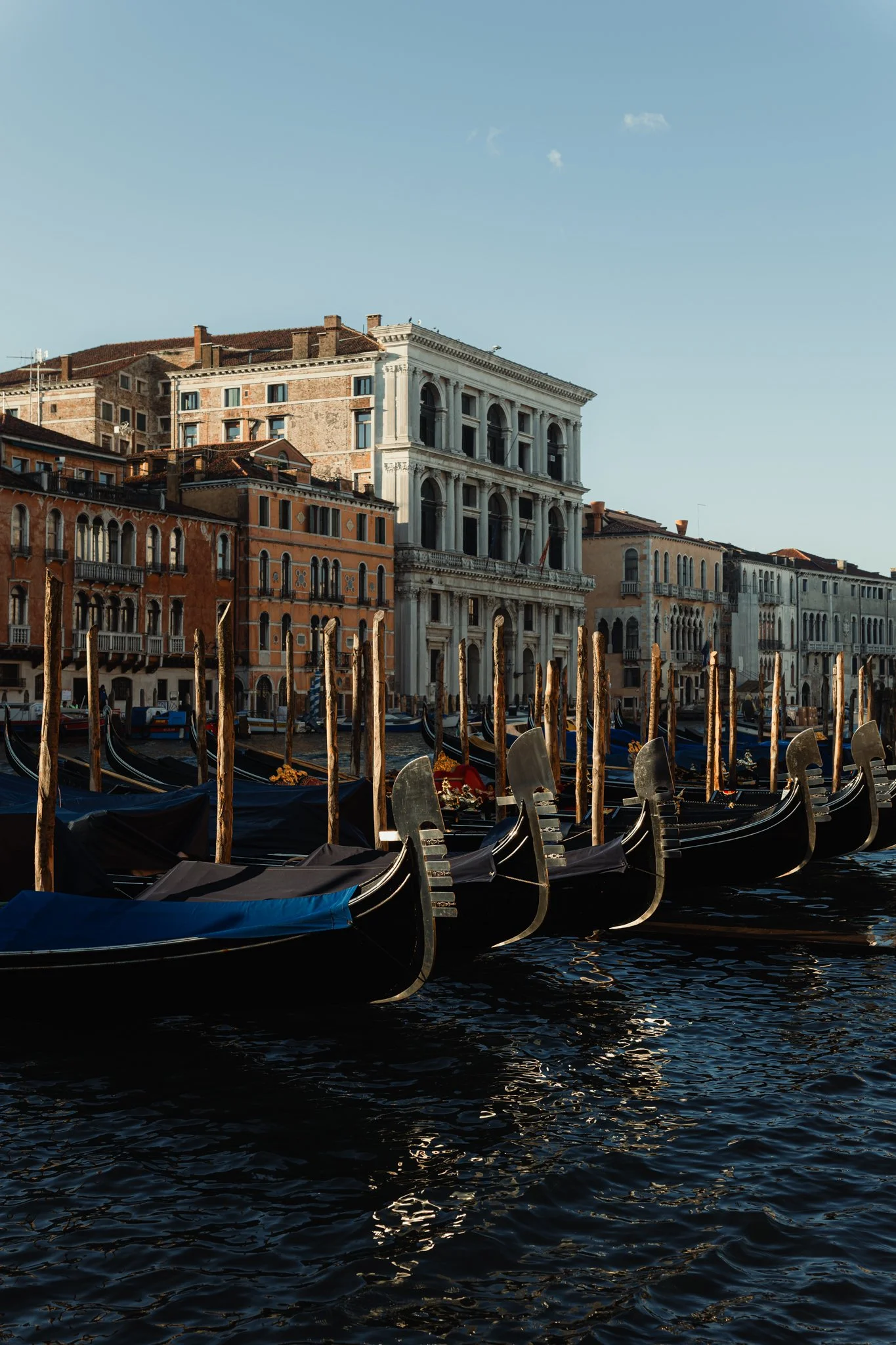 20260217-L1123520_©LeanderHöfler_WEB-Web (Copyright)-2.jpg