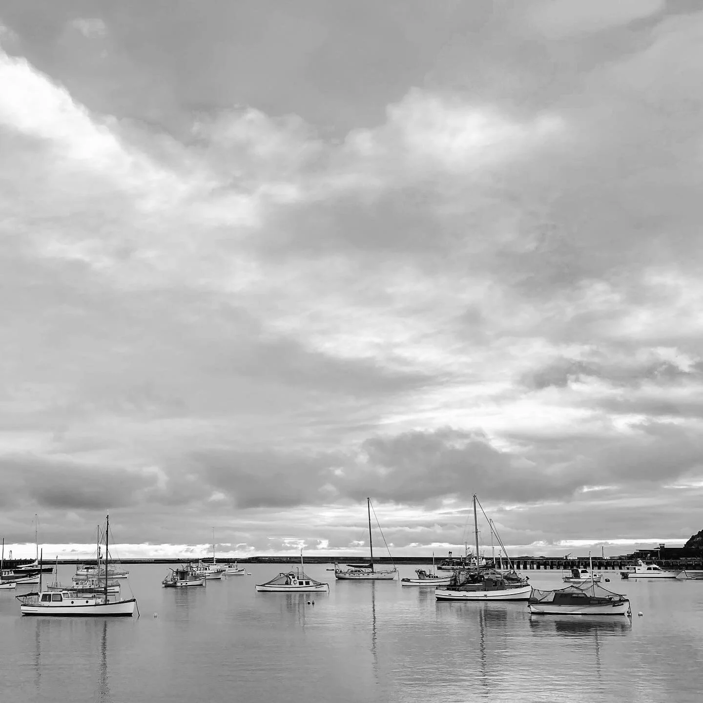 Oamaru Harbour 🚣&zwj;♀️ 🚤🛥