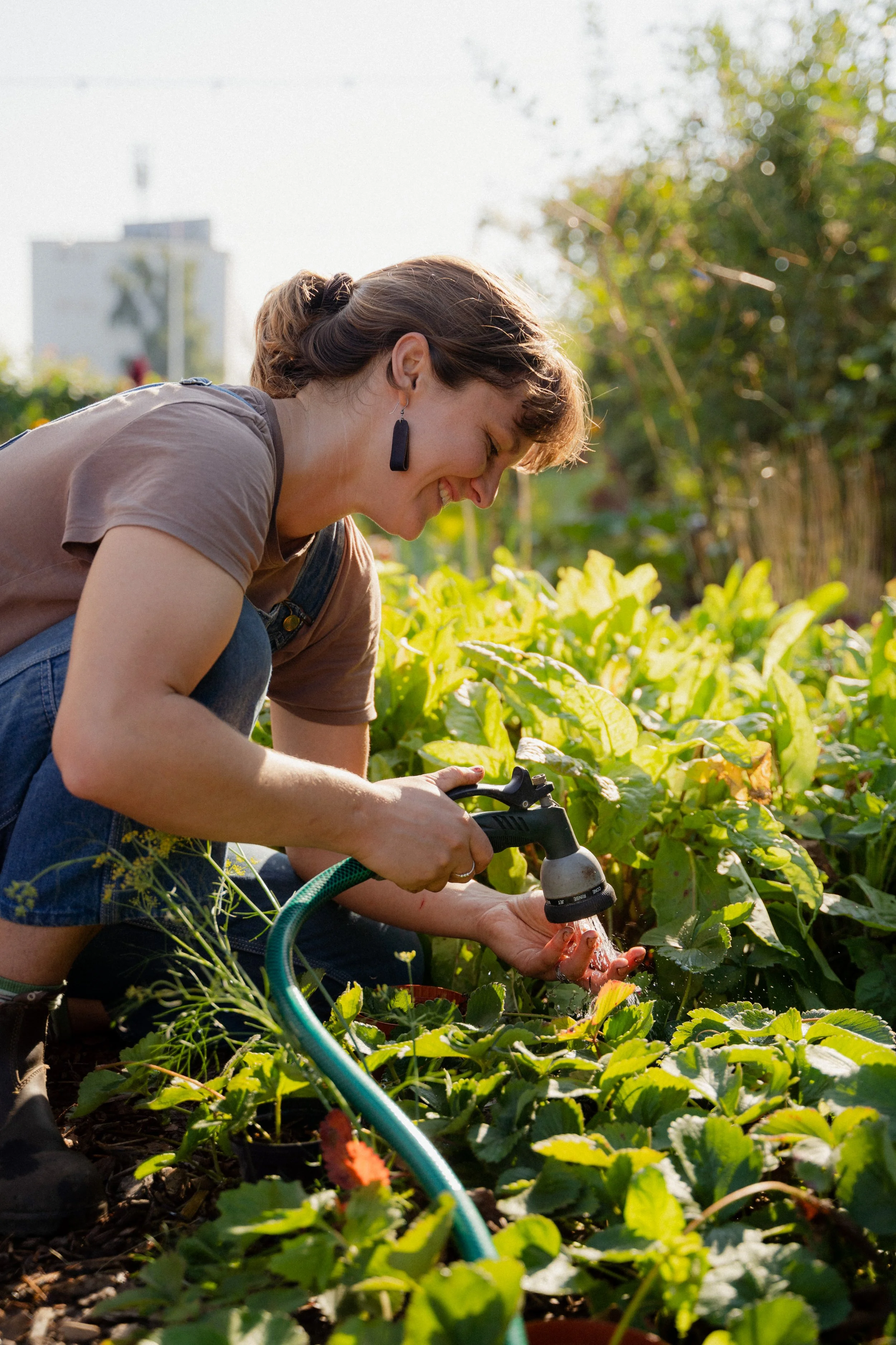7 juni Workshop / From seed to harvest — grow on your balcony or tiny garden