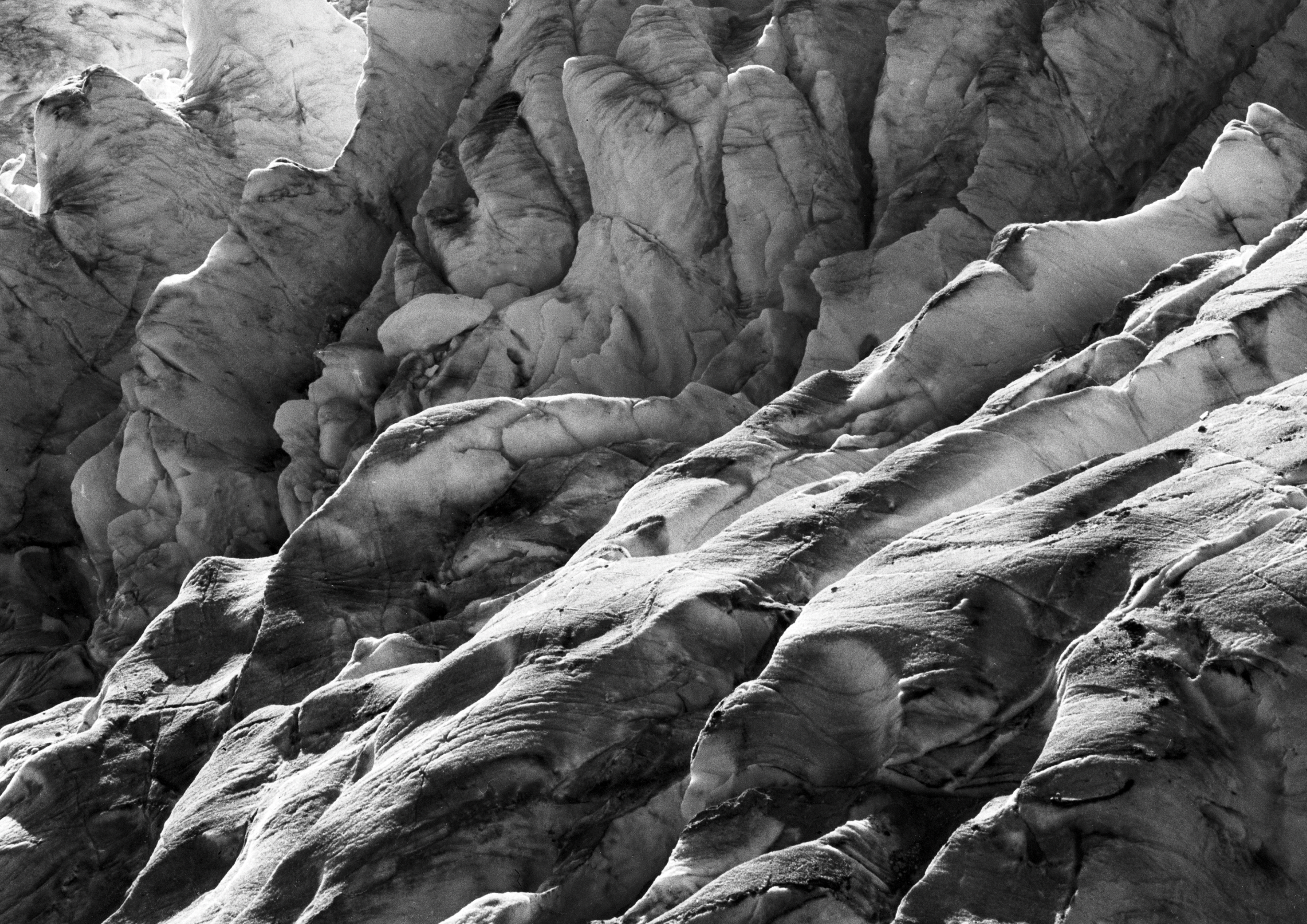 Glasplatten scannen: Qualität, die es nie gab