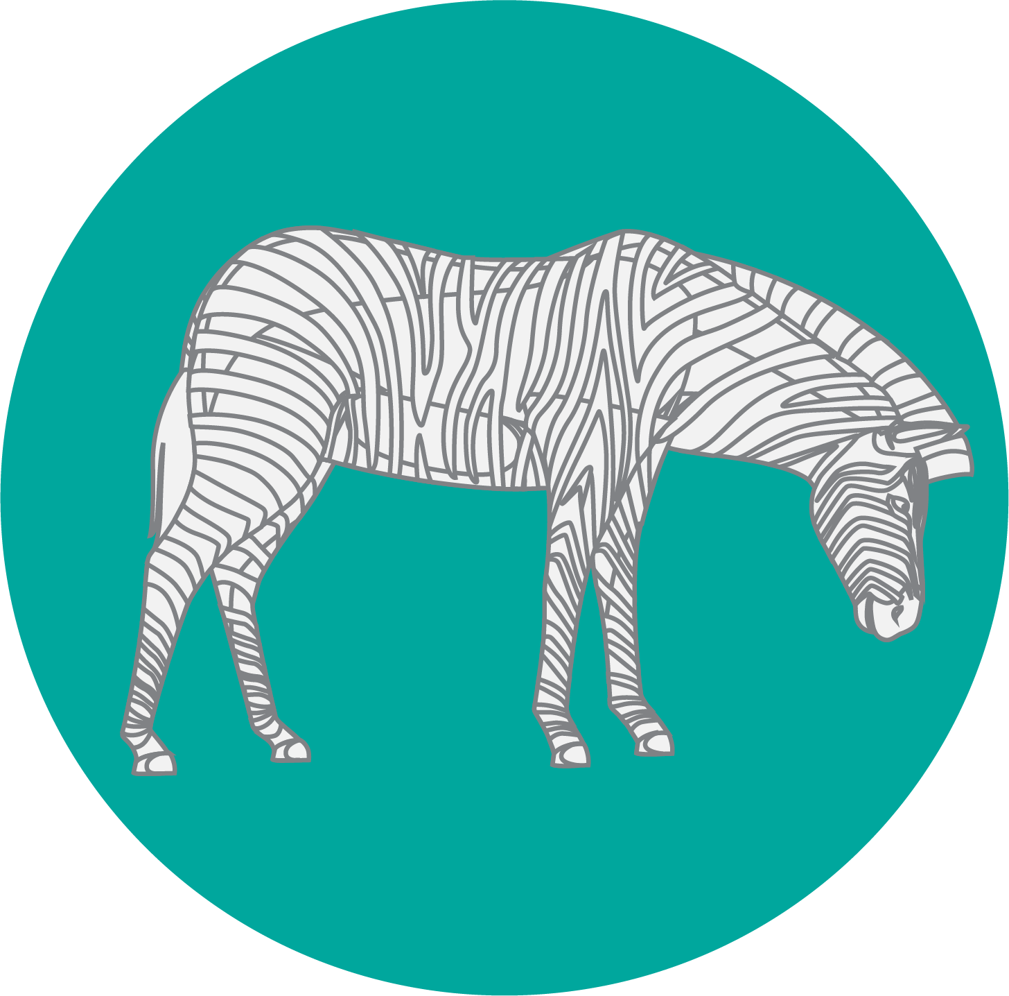 Wednesday Zebra Training