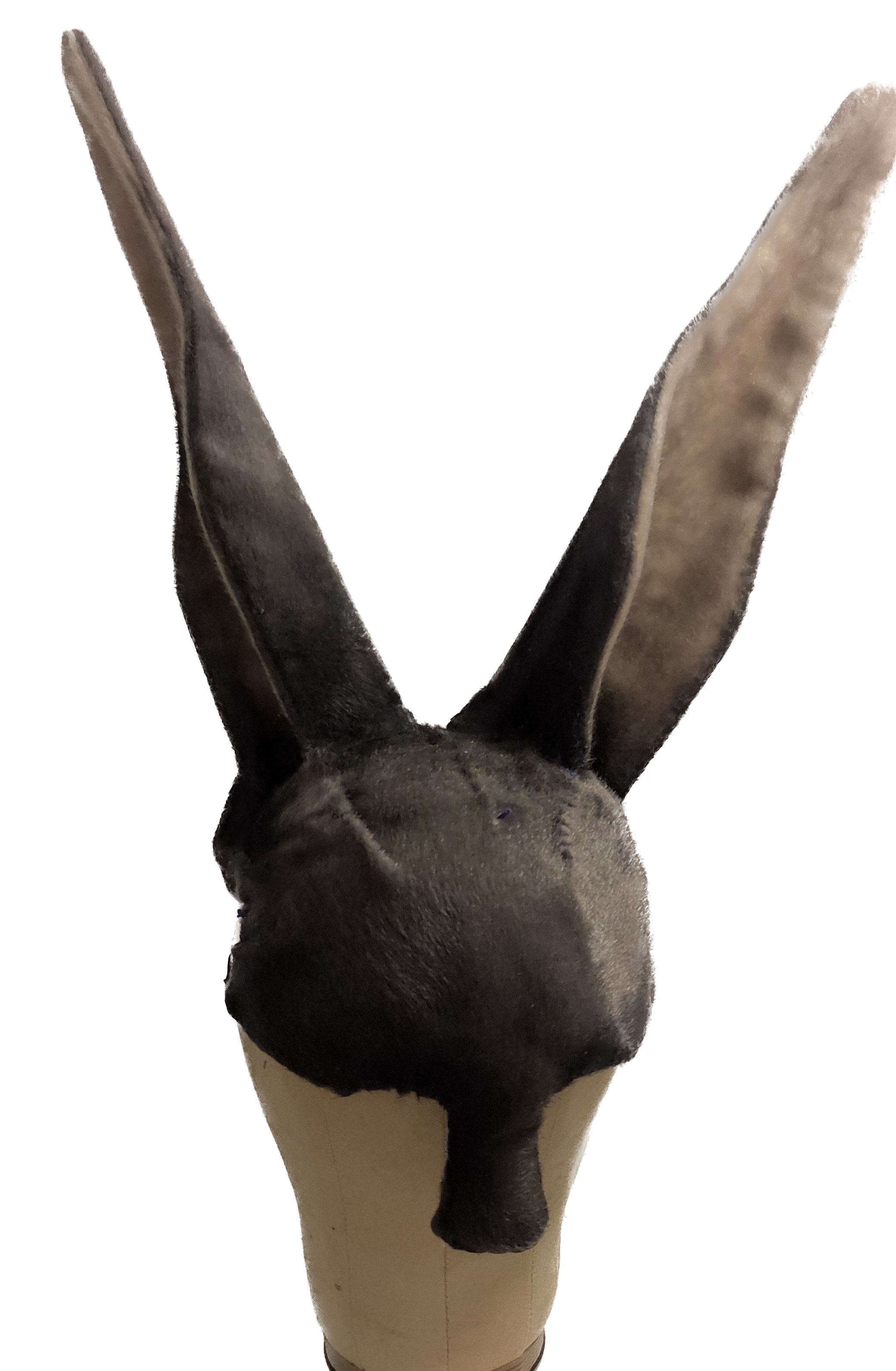 1696023356794 (1) Background Removed.png