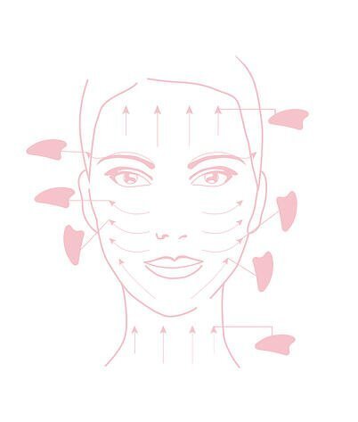 Gua+Sha+Chart.jpg