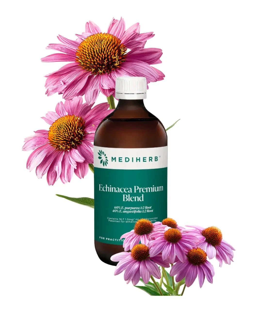 Carmen our Naturopathy in Melbourne works to help clients with a range of conditions with hormones, fertility and mental health at Thornbury Apothecary.