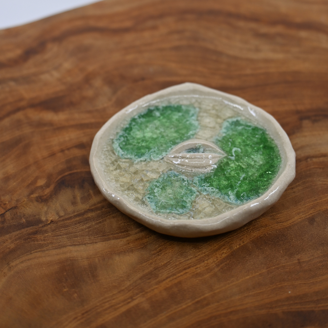 Grounding dishes (19).png