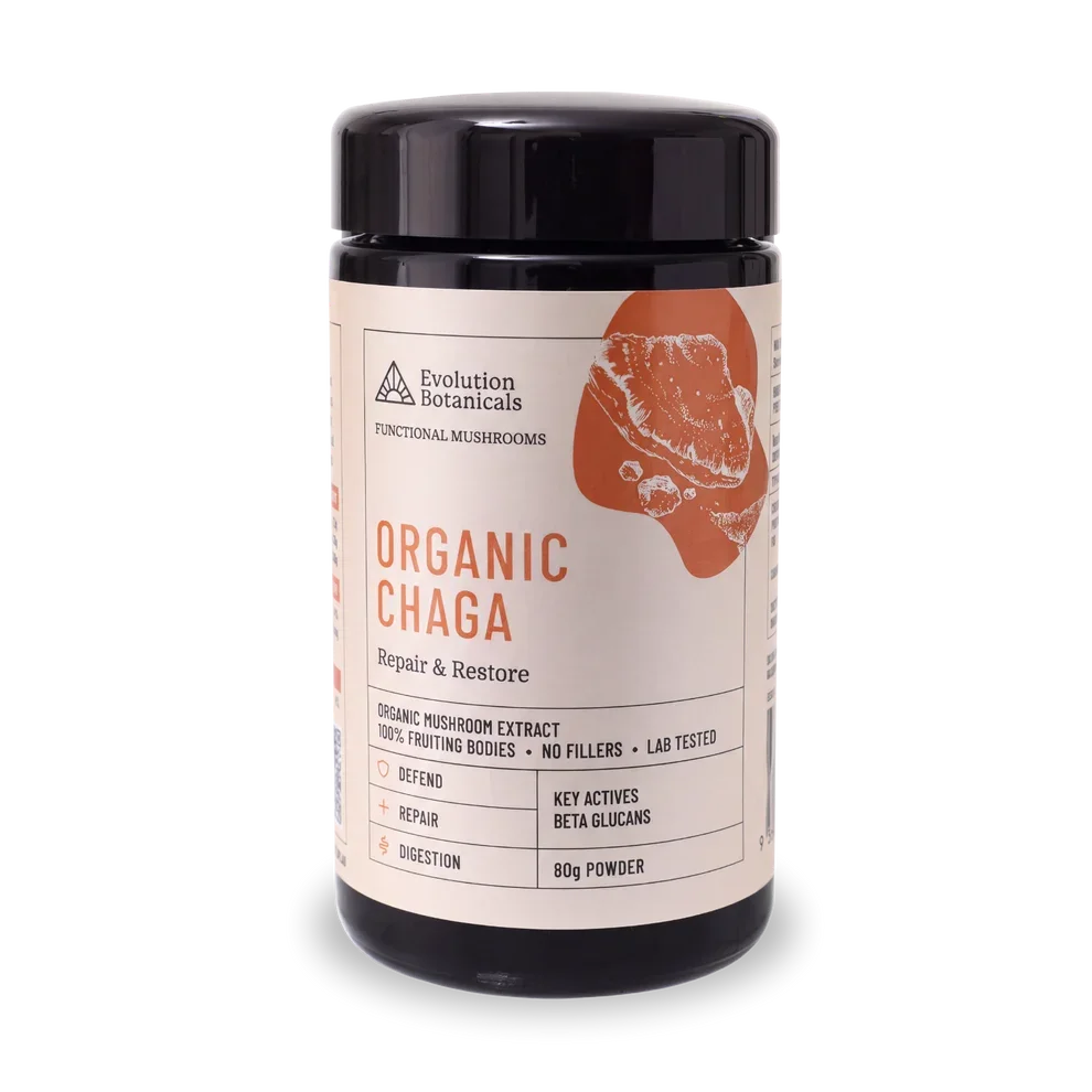 Chaga-front.webp