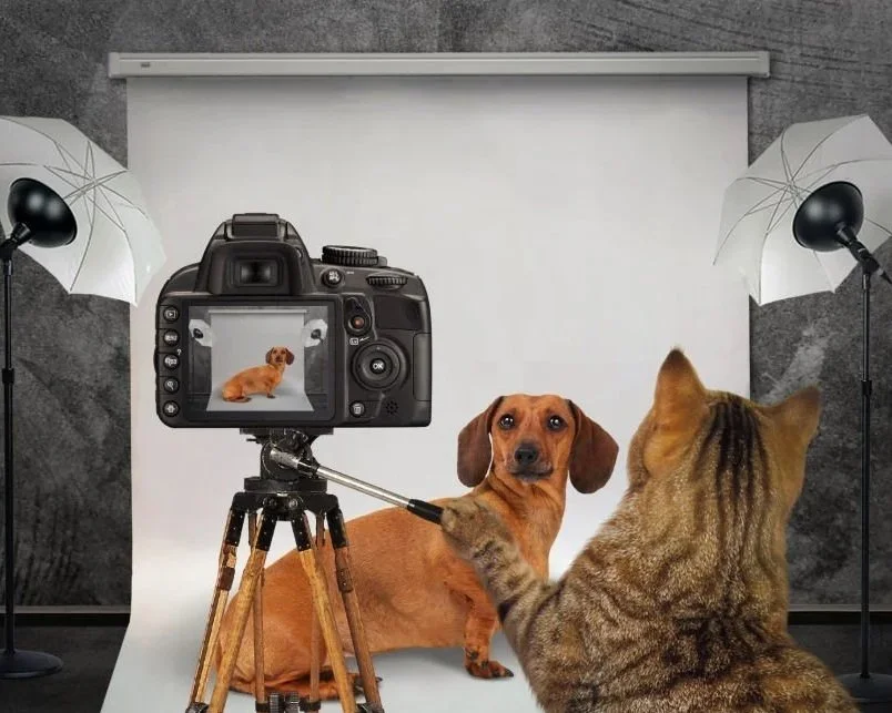 La clinique se prépare pour de belles photos - Patience !