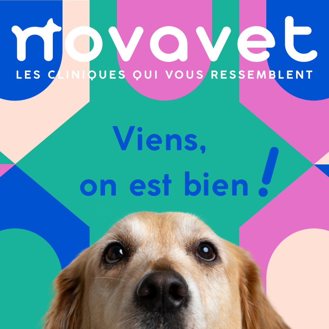 Viens on est bien.png