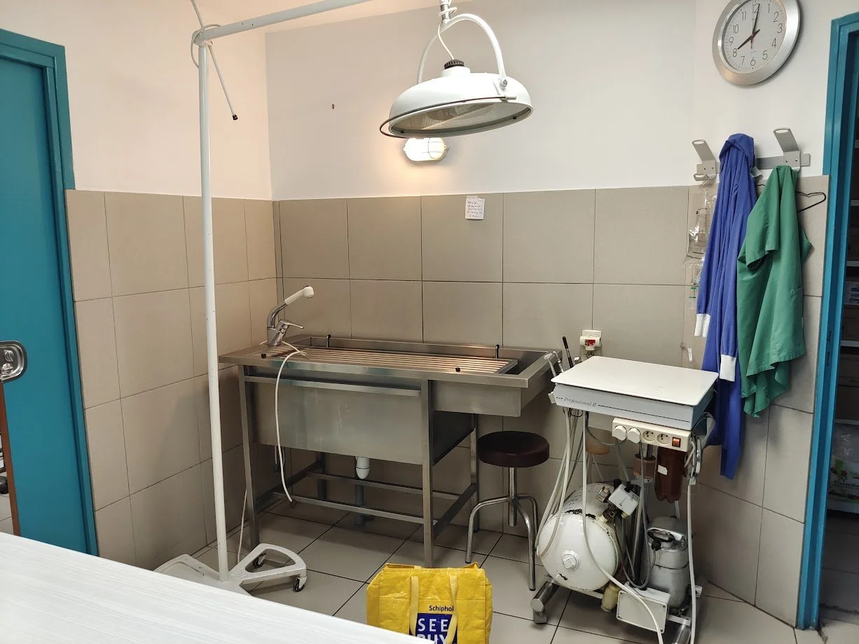 220802_Table humide.jpg