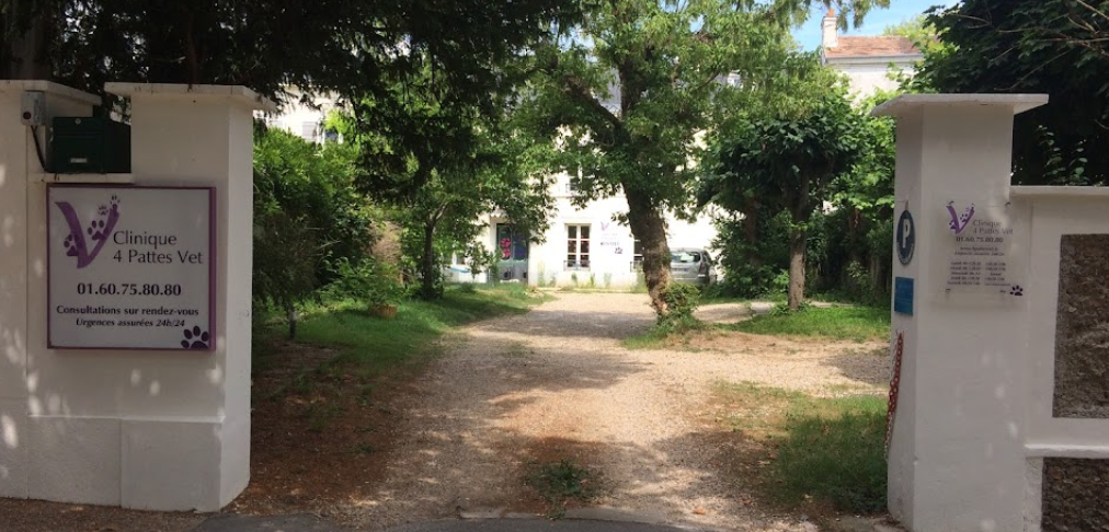 21. Soisy - Cabinet 4 pattes Vet .png