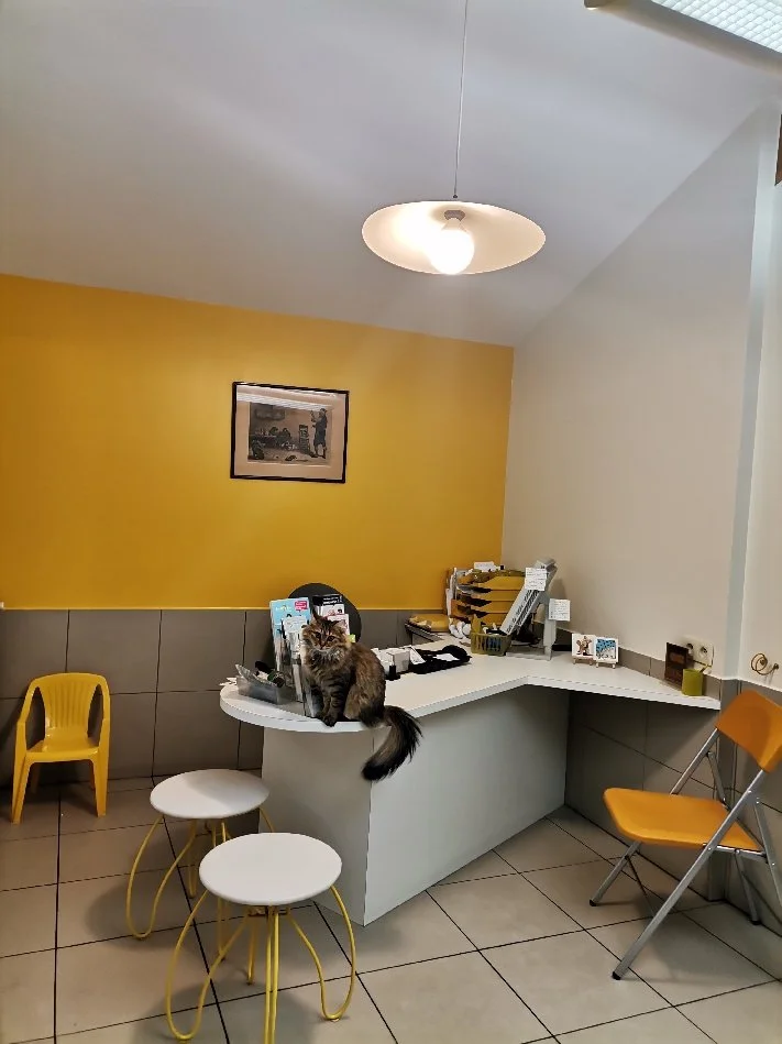 210625_Bureau_salle de consultation-Jaune.jpg