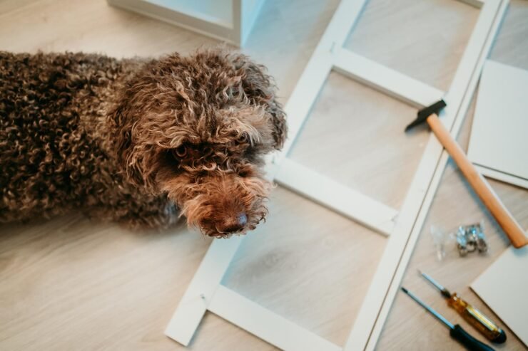 La clinique se refait une beauté, bientôt des photos !