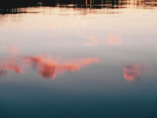 pexels-aaronburden-3623760.jpeg