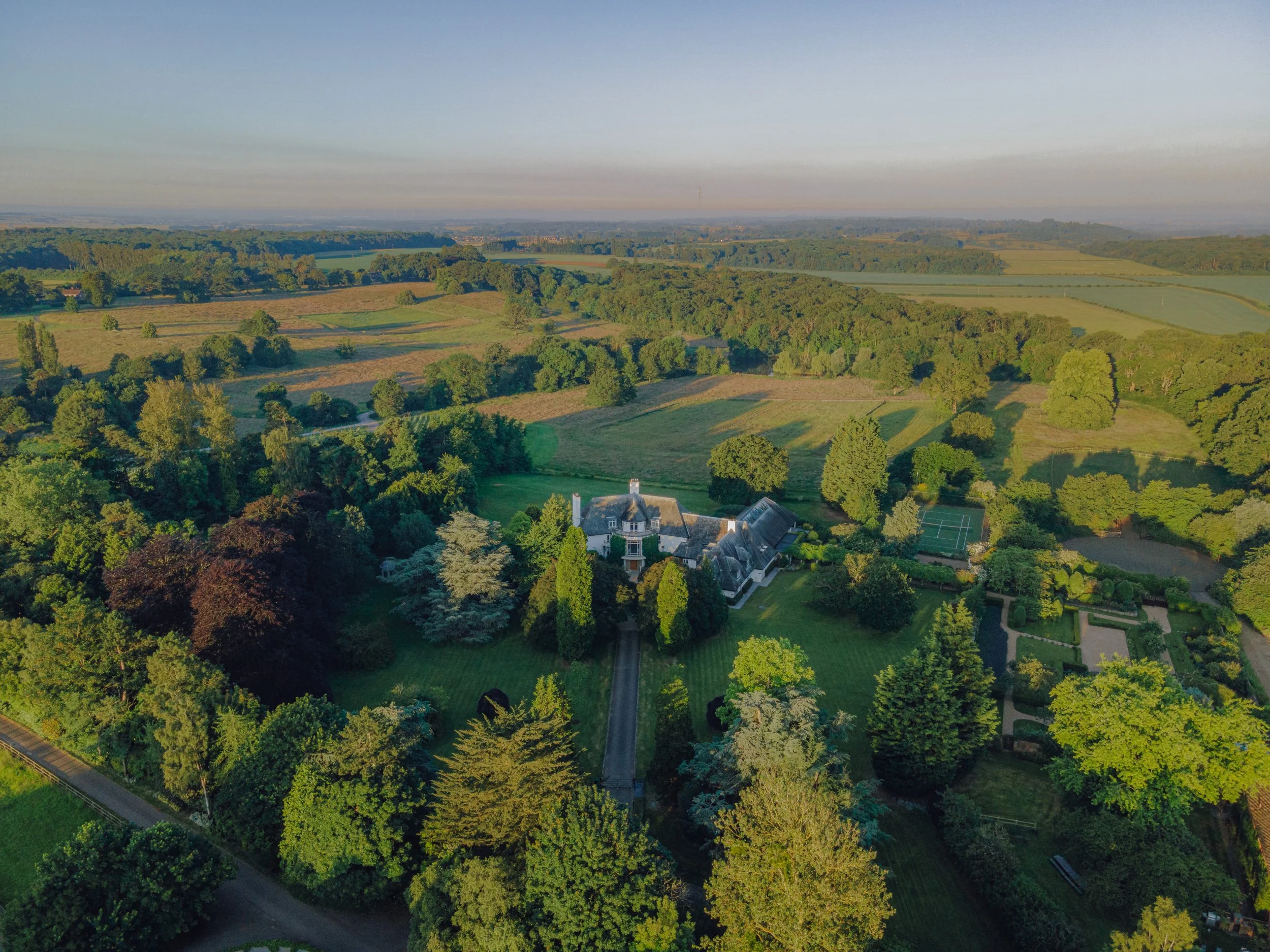 Surprise Courtyard Performance