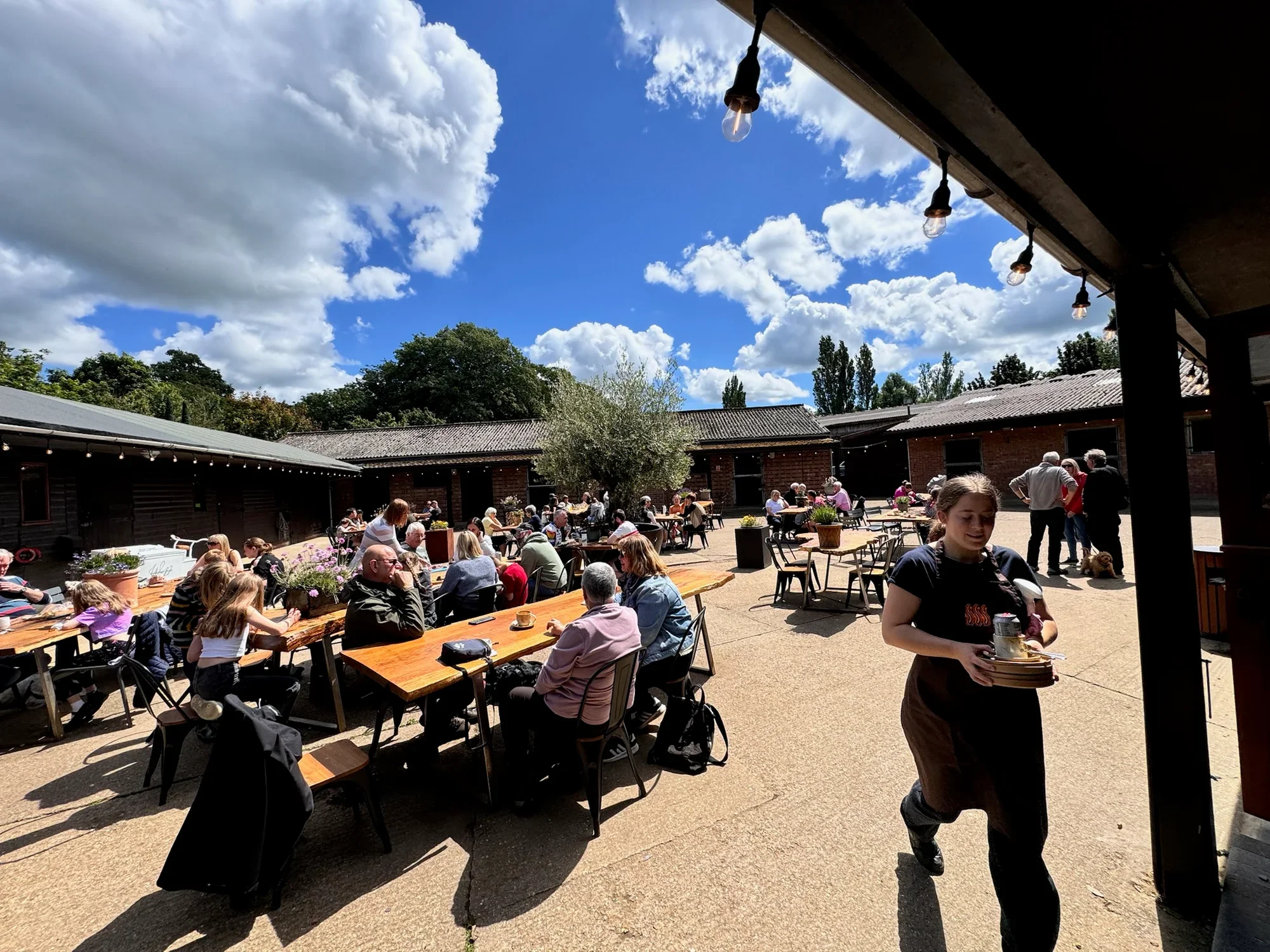 Father’s Day: BBQ Lunch &amp; Jazz In The Courtyard