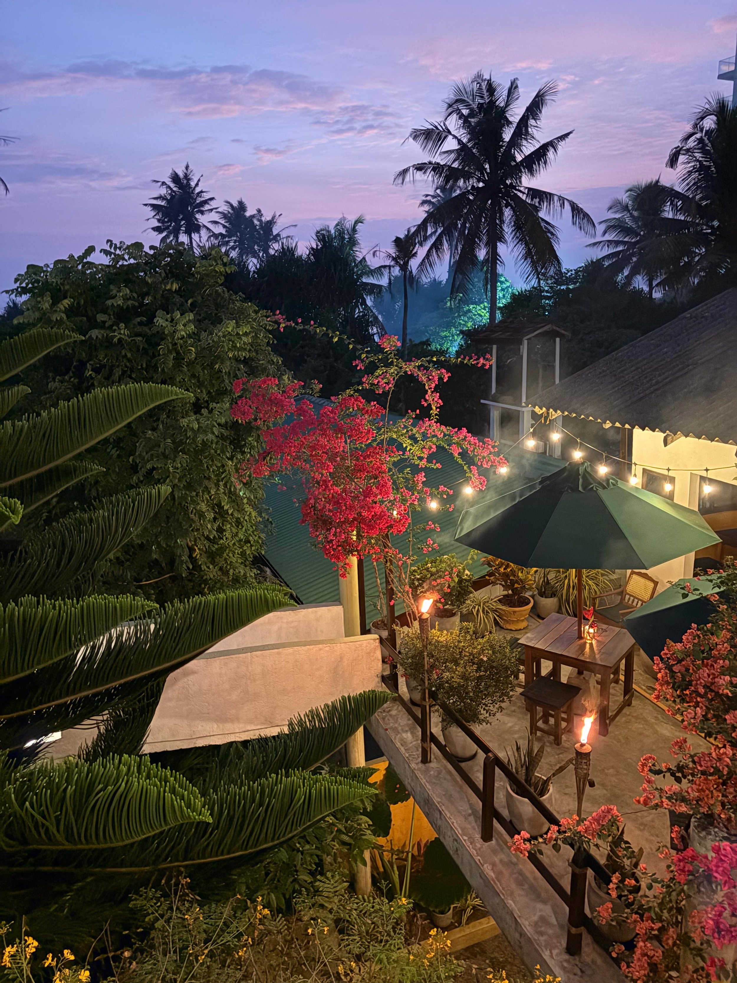 A tropical outdoor patio scene during dusk, featuring large palm trees, flowering bushes, string lights, a table with chairs, umbrellas, and a thatched roof building with a string of lights.